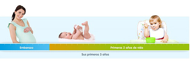 nestle etapas