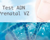 Test ADN Prenatal