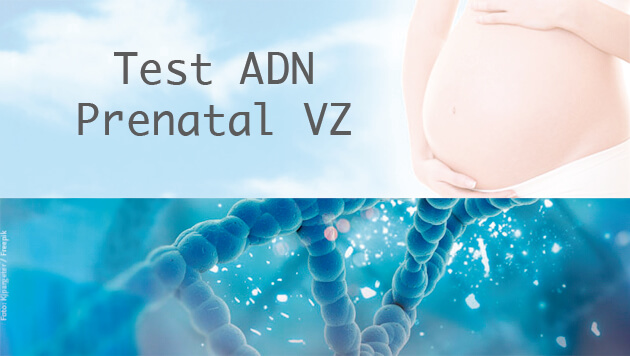 Test ADN Prenatal